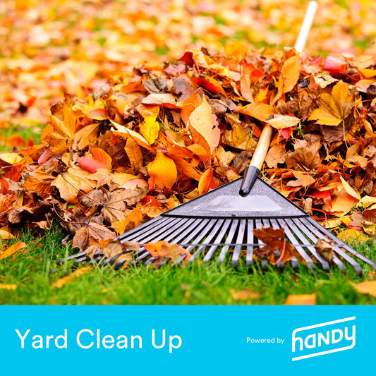 handy-yard-cleanup-5k-10k-sq-ft