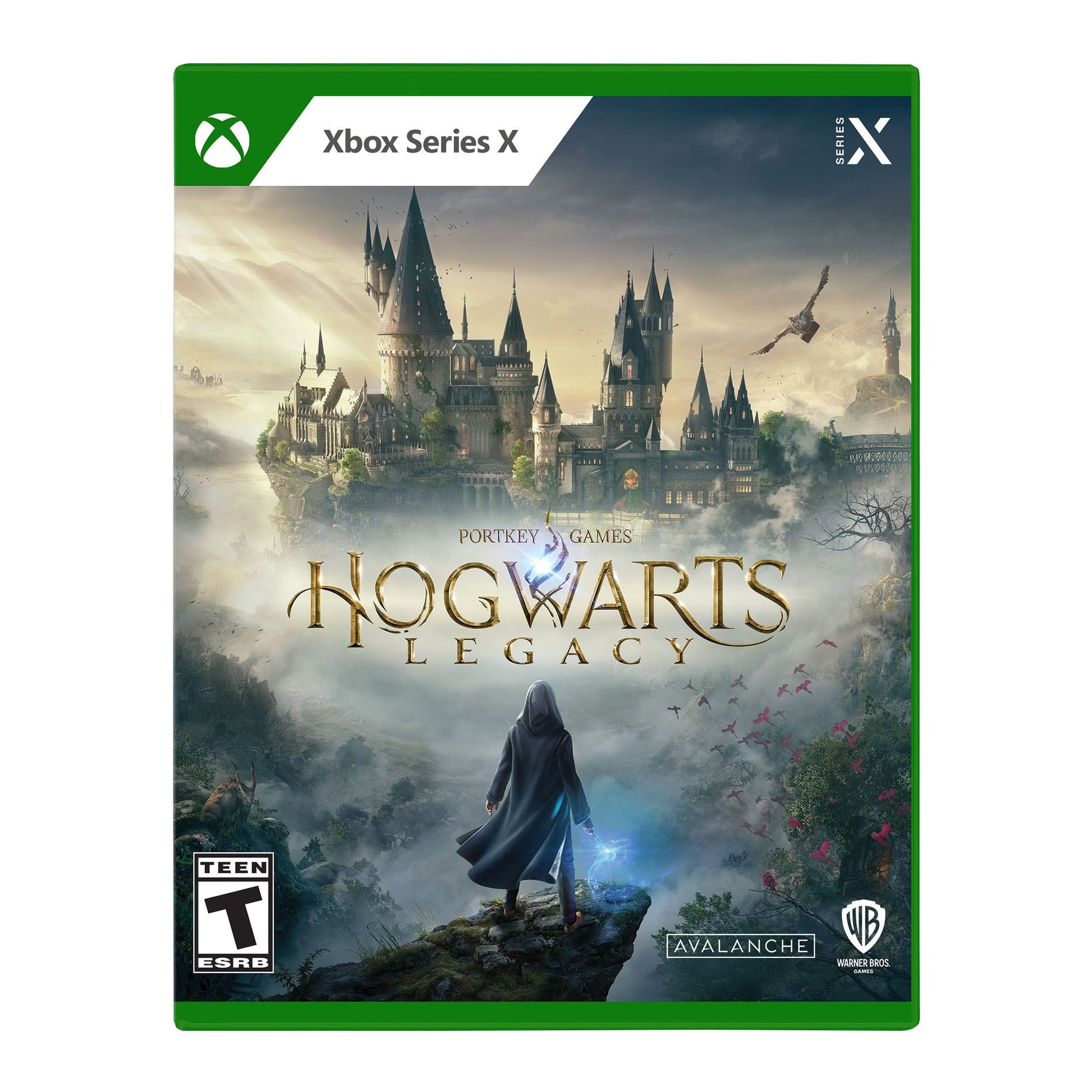 hogwarts-legacy-xbox-series-x