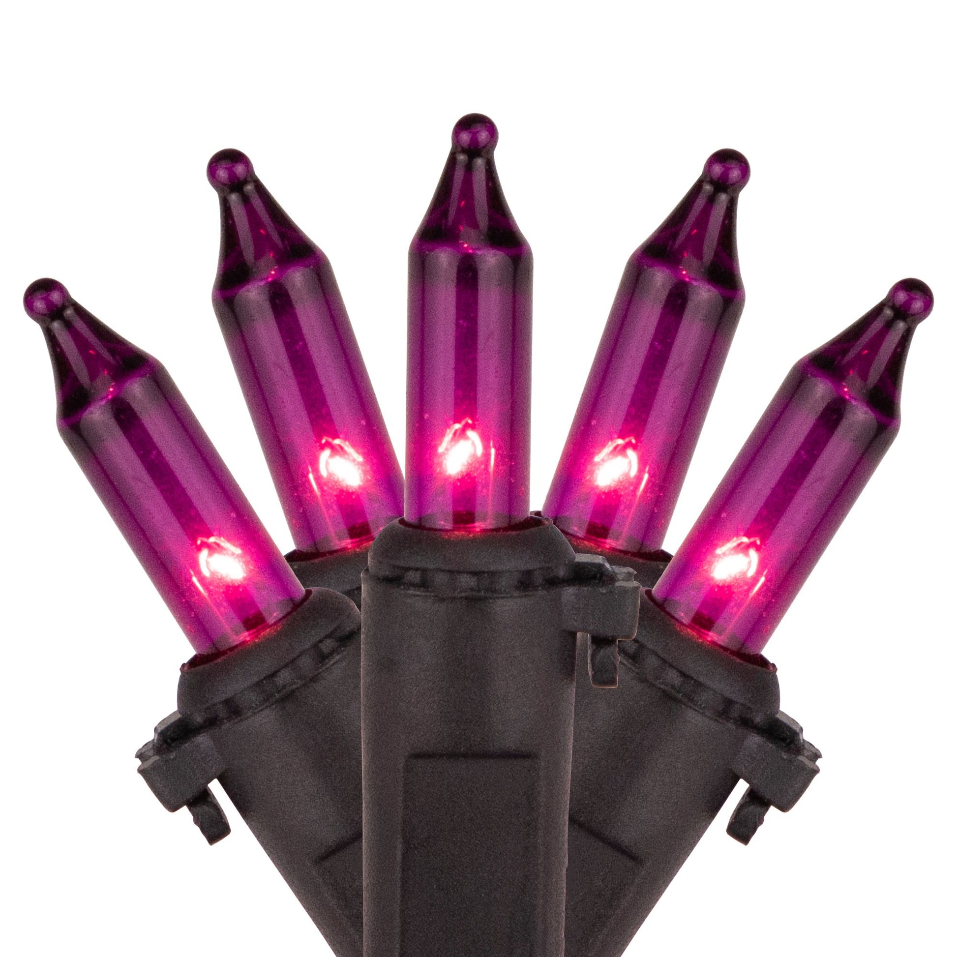 northlight-2025-purple-mini-incandescent-string-light-set---black-wire-100-ct