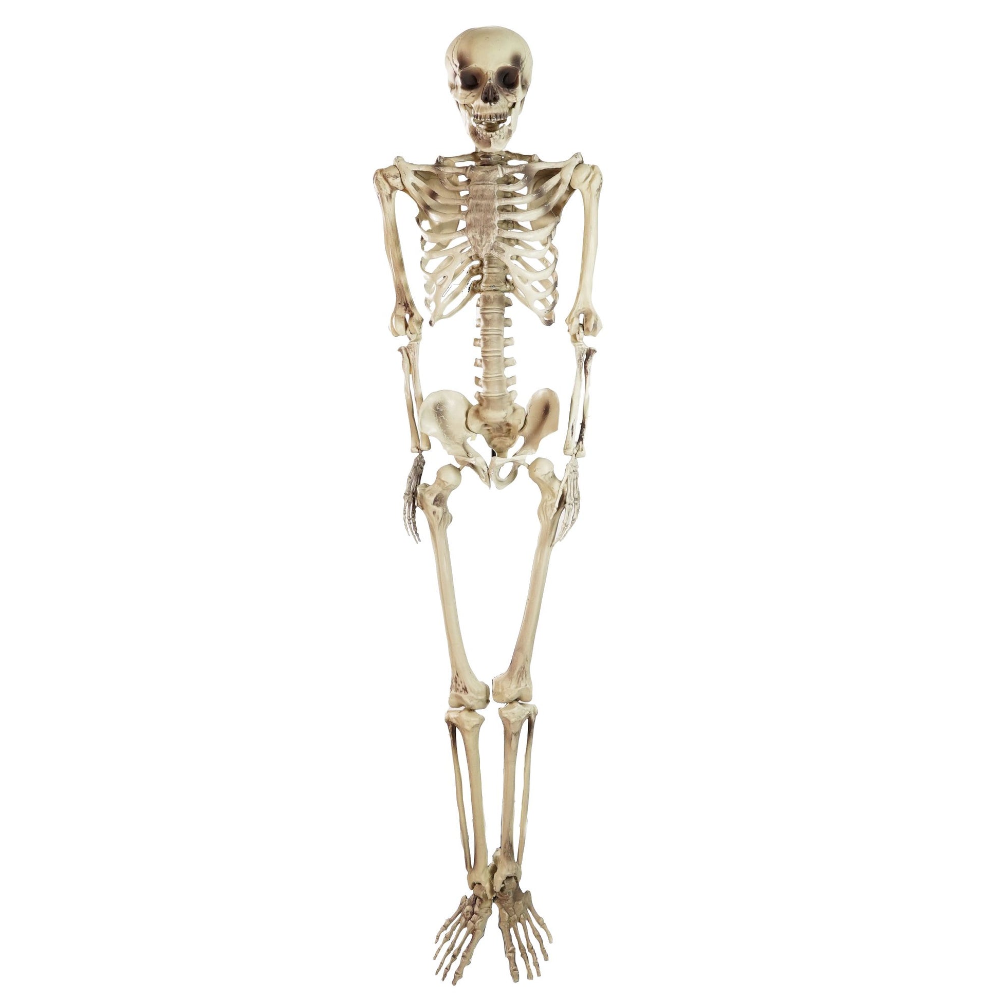 northlight-5-life-size-skeleton-decoration