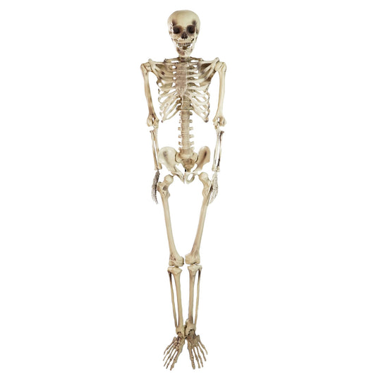 northlight-5-life-size-skeleton-decoration