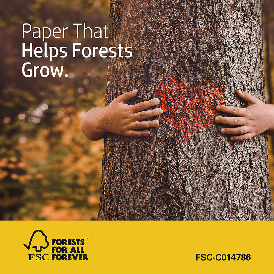 Bulk & Truckload HP Everyday Copy & Print Paper – 8.5 x 11, White, 20 lb, 2,500 Sheets